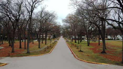 mcgraft park in autumn