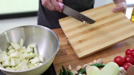 chopping vegetables and ingredients for cooking