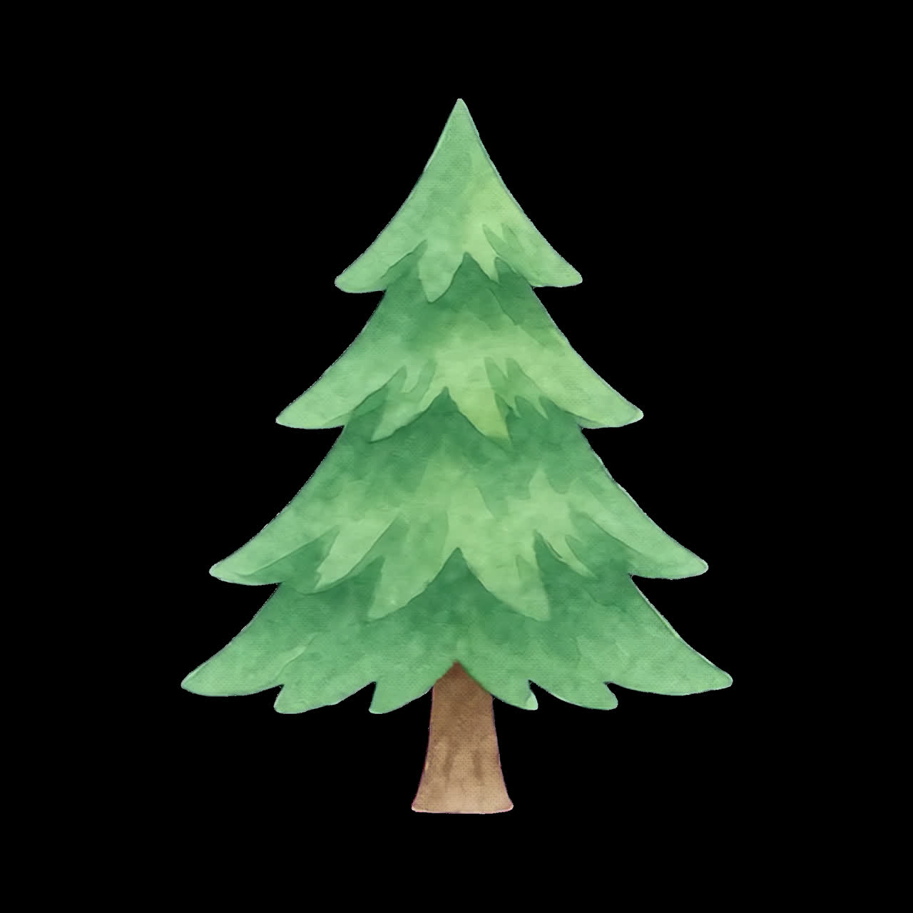 Watercolor evergreen tree illustration animation isolated asset, transparent 4K video, alpha