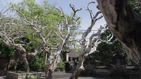 small but beautiful park with ancient trees in indonesia, motion view