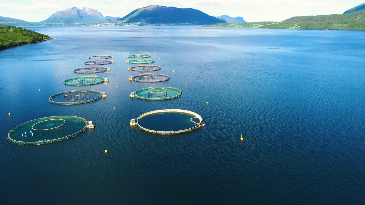 노르웨이에서 연어  ⁇ 시를 하는 공중 촬영