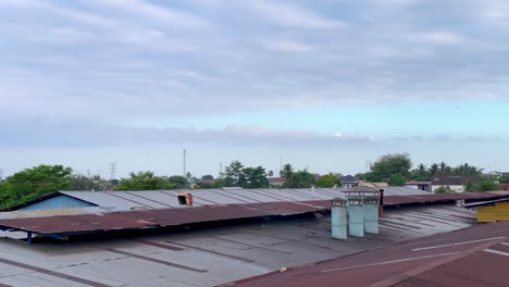 industrial chimneys on the roof of factory building