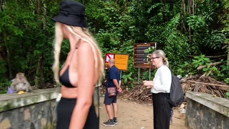 visitors walking through lush forest path