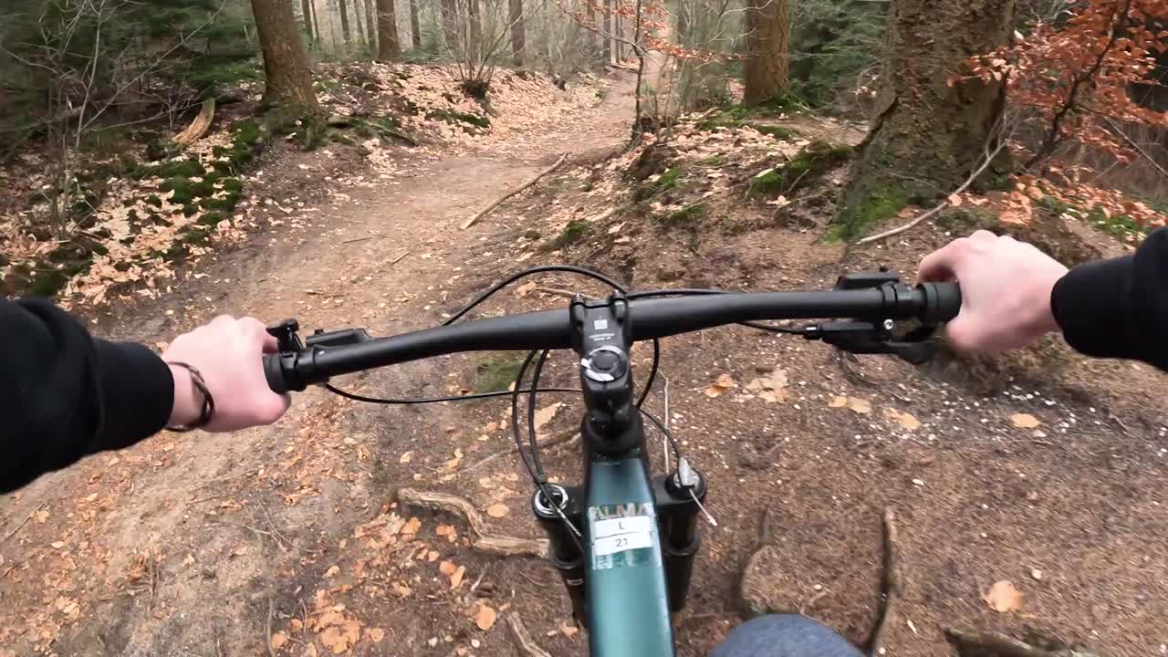 Video: cykling med mountainbike på stig genom skog.