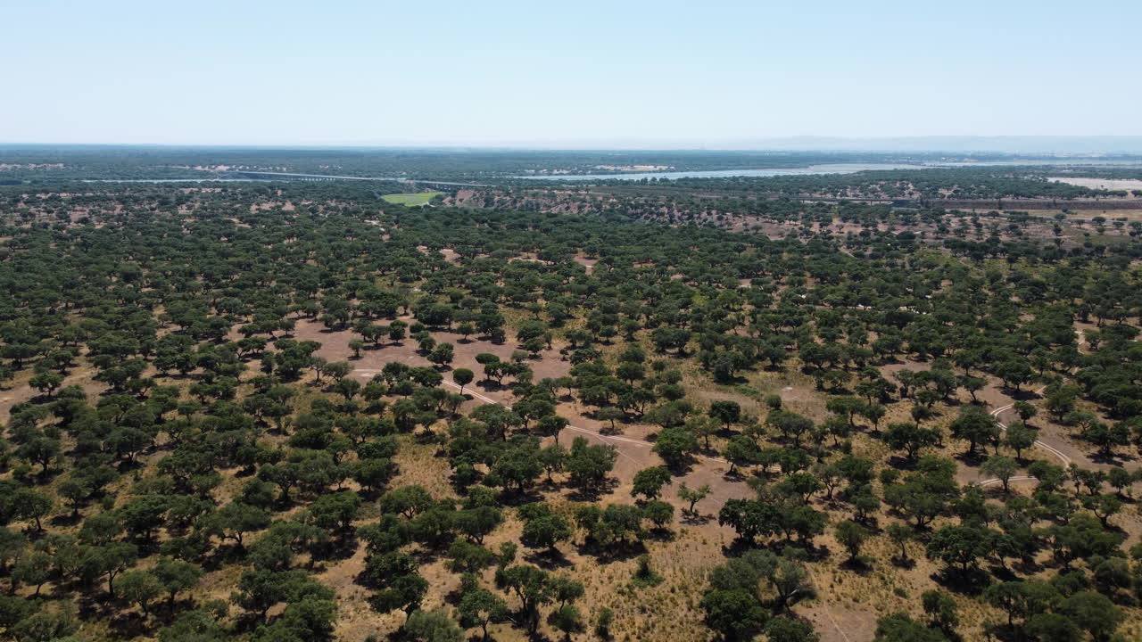 amplia vista aérea campo verde portugués a la luz del día
