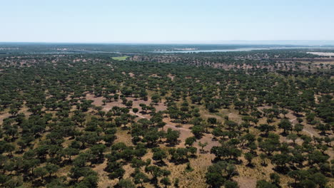 Aerial-wide-Shot-Portuguese-Green-Countryside-at-daylight