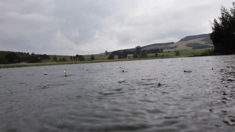 Gotas-De-Lluvia-Cayendo-Sobre-Un-Lago-En-Kwazulu-natal,-Sudáfrica