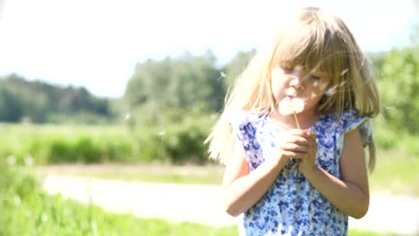 Süßes-Hochsommermädchen,-Das-An-Hellen-Sommertagen-Im-Freien-Löwenzahnblume-Bläst,-Zeitlupe