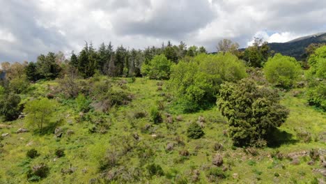 ascending-flight-with-a-drone-over-a-hill-where-at-the-summit-we-see-a-great-diversity-of-trees-and-a-system-of-mountains-appears-there-is-a-sky-with-clouds-in-the-Tietar-valley-Avila-Spain