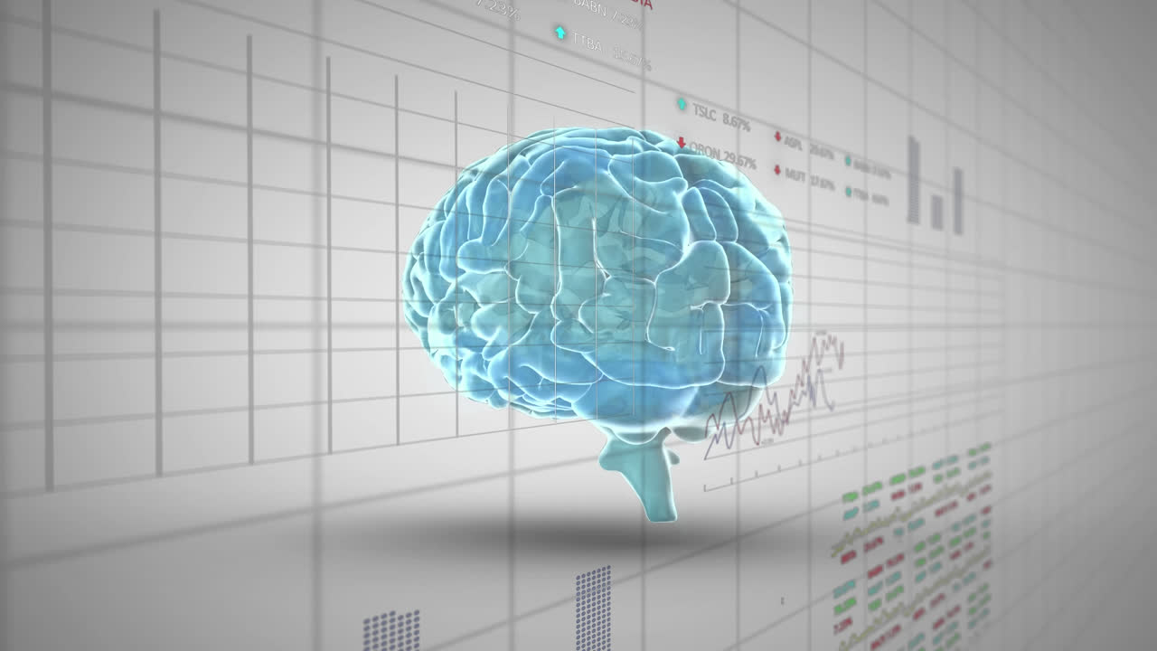 색 배경에 회전하는 뇌에 대한 데이터 처리의 애니메이션