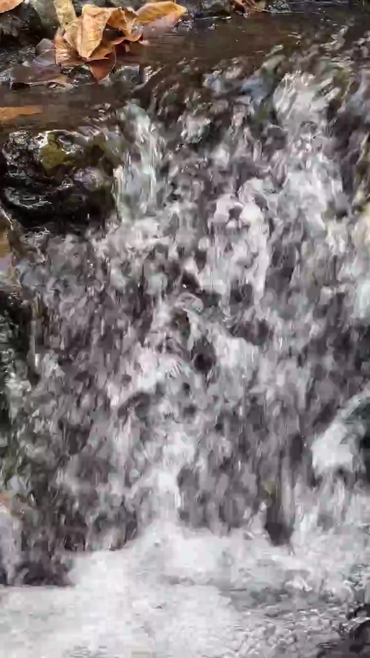 Piccola cascata che scorre sulle rocce in un ruscello della foresta