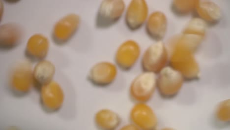 closeup footage of raw popcorn in slow motion