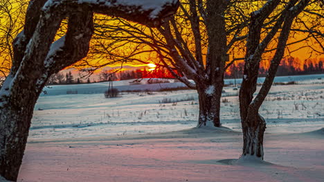 Time-lapse-shot-of-golden-sunrise-lighting-on-white-snow-surface-in-forest-landscape