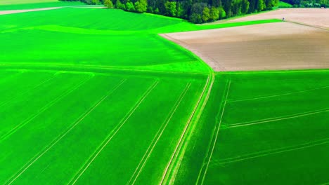 aerial view of lush green fields with distinct crop rows and adjacent farmland