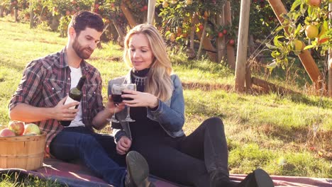 Couple-having-wine-in-orchard