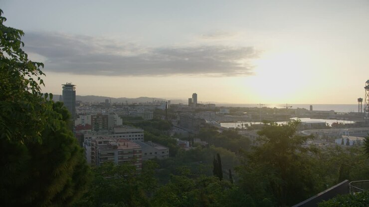Hi Res View Through Scenic Trees, Barcelona Spain City Skyline with Golden Sunrise in 6K as Birds Fly