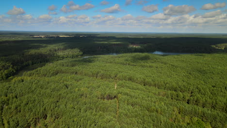 Kowalskie-Blota-En-Polonia---Paisaje-Pacífico-De-árboles-Verdes-Y-Exuberantes-Con-Un-Cielo-Azul-Brillante-Arriba---Toma-Aérea