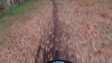 Imágenes-De-La-Cámara-Del-Casco-En-Una-Bicicleta-De-Montaña-En-Cannock-Chase,-Inglaterra