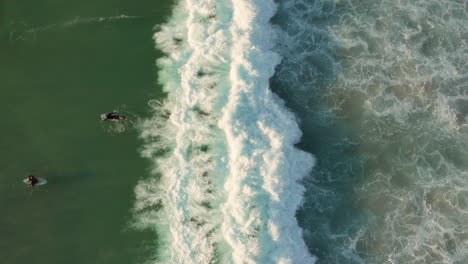 surfers having fun on llandudno beach, cape town, south africa - aerial top down