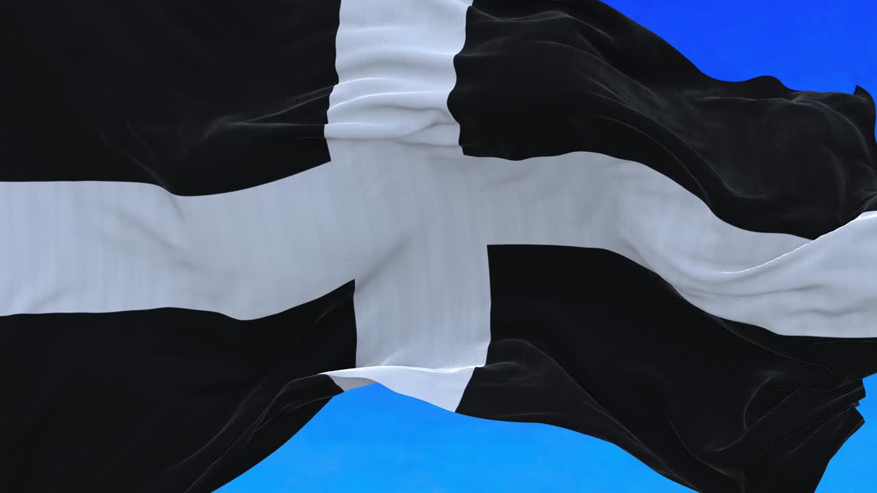 영국 코니쉬 발을 흔들고