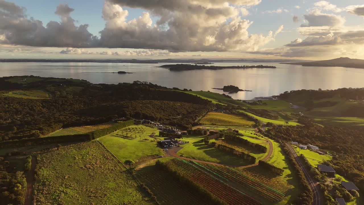 Beautiful and idyllic green hills and vineyards on Waiheke island, New Zealand. Cloudy sunset in golden colors. Aerial wide shot.