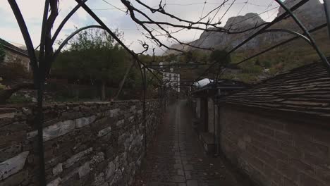 walking with a flying camera on eye level