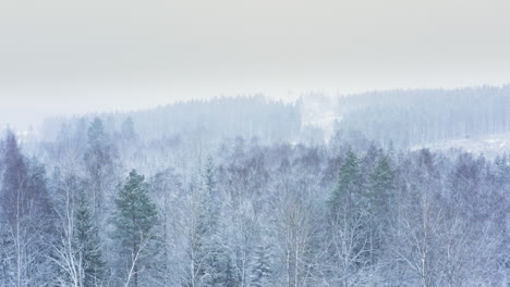 aerial - heavy snowfall during the winter in a forest, sweden, rising wide shot