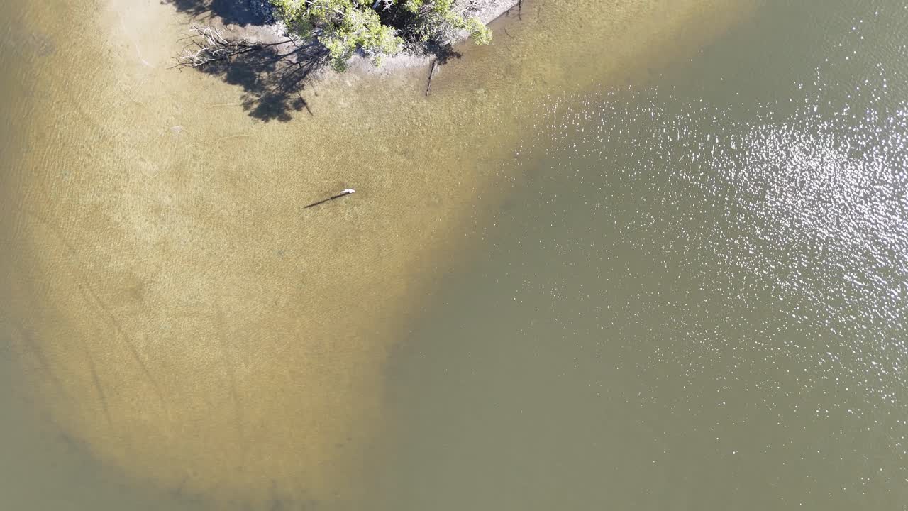 위에서 볼 수 있는 울창한 초록색과 도시 풍경