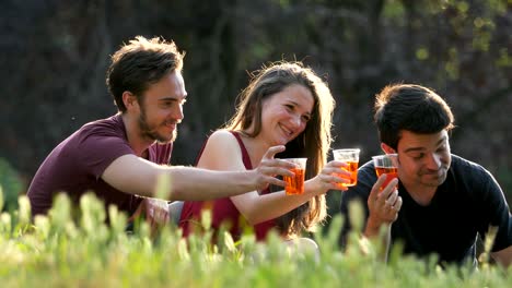 jóvenes amigos felices brindando en el parque