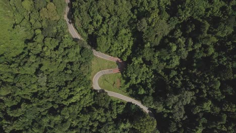 Vista-Aérea-Ascendente-Del-Sinuoso-Camino-A-Través-De-La-Jungla-Verde