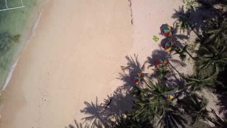 pedestal aéreo desde coloridas sombrillas de playa y palmeras para ver hermosas aguas claras que se deslizan en la playa en filipinas