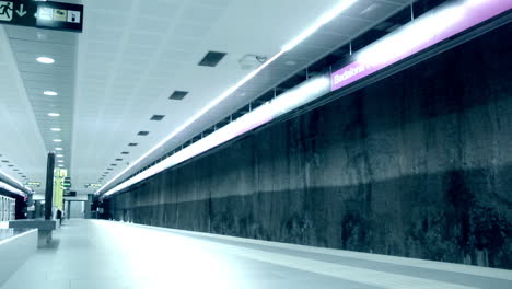 Time-lapse-subway-and-passengers