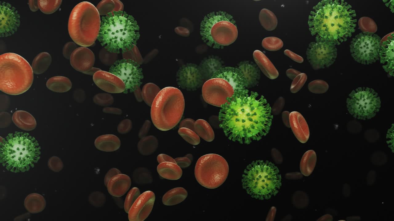 células sanguíneas voladoras con coronavirus