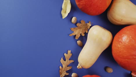 Video-of-pumpkins-with-acorns-and-autumn-leaves-on-blue-background