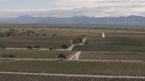 Imagen-Aérea-Que-Muestra-Varios-Viñedos-En-La-Región-De-Cafayate-En-Salta,-Argentina,-Famosa-Por-Sus-Plantaciones-De-Uva-A-Gran-Altura.