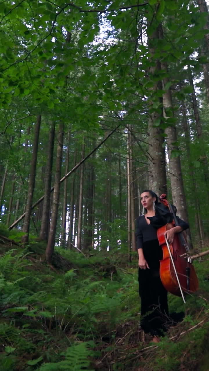 Girl with musical instrument. Young beautiful girl with cello outside