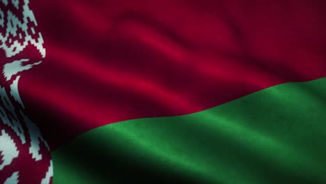 belarus flag waving in the wind. national flag of belarus. sign of belarus seamless loop animation. 4k