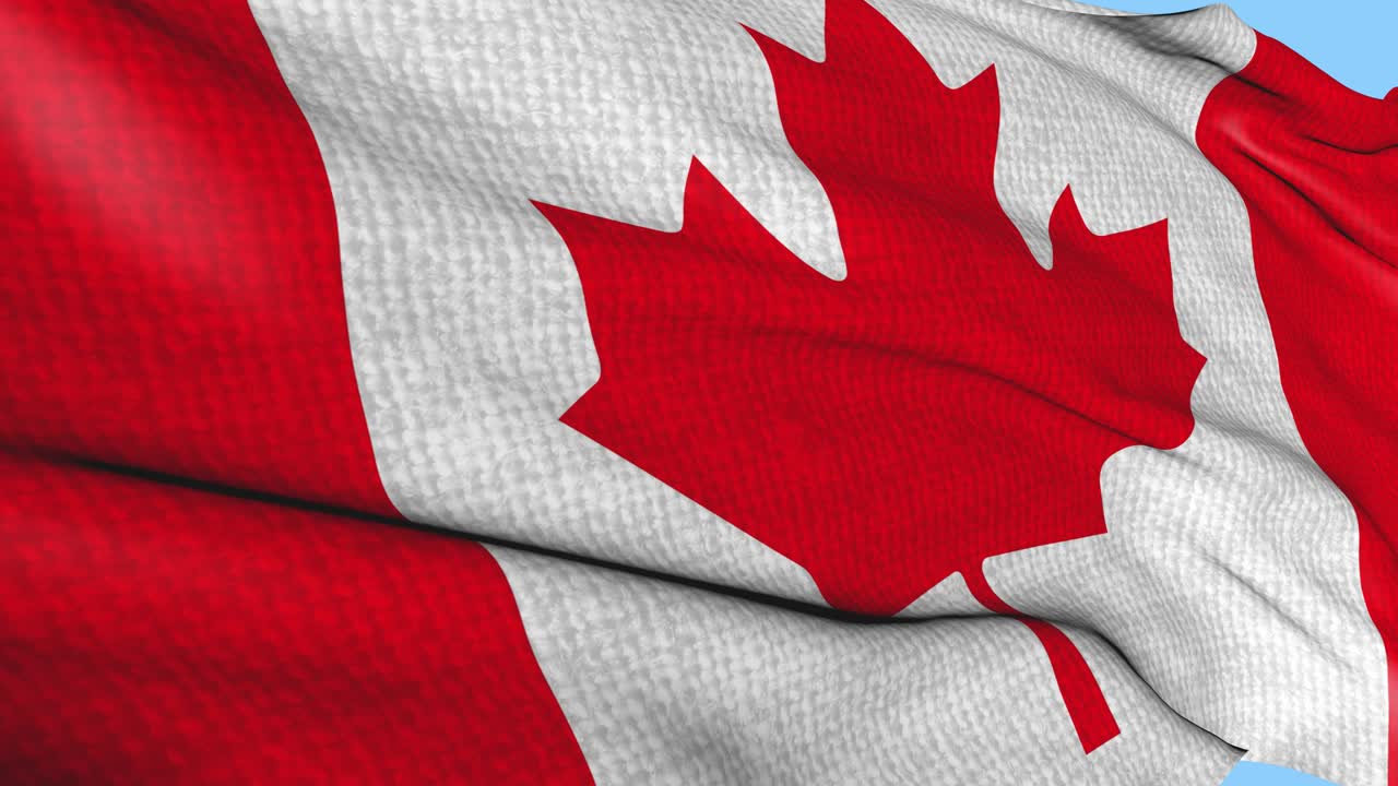 bandera de canadá con textura de tela, balanceándose en el viento. animación del signo del símbolo nacional canadiense. video sin costuras en bucle en un fondo aislado.