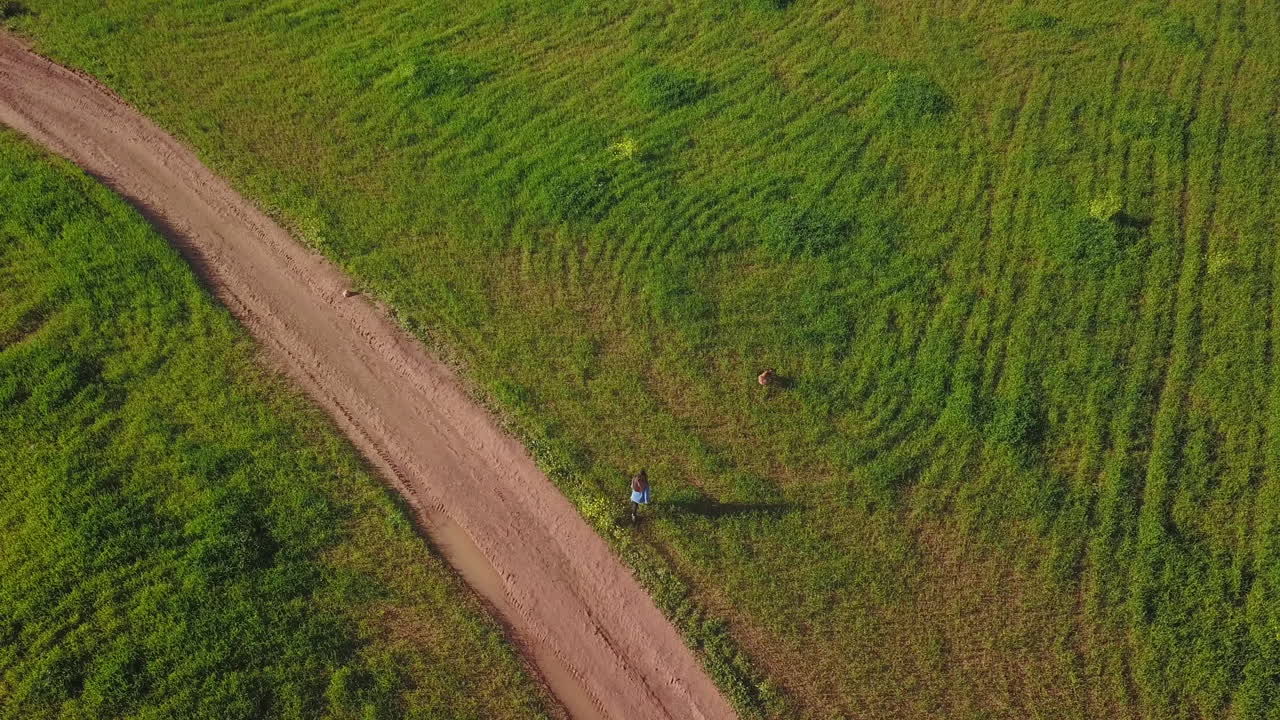 A Young Girl with dog Walking Along A Wheat Field
