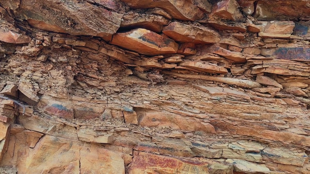 Lenta carrellata che rivela profonde radici di alberi che penetrano roccia sedimentaria stratificata, evidenziando l'alterazione atmosferica e l'erosione naturale.