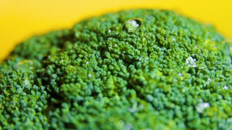 cerca de las verduras frescas de brócoli verdes girando