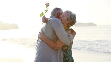 Pareja-De-Ancianos-Jubilados-Abrazándose-Mientras-Sostienen-Una-Flor