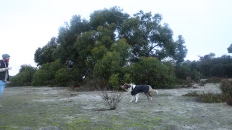 Un-Bosquimano-Con-Su-Perro-Border-Collie-Corriendo-Y-Divirtiéndose-En-El-Desierto-Australiano