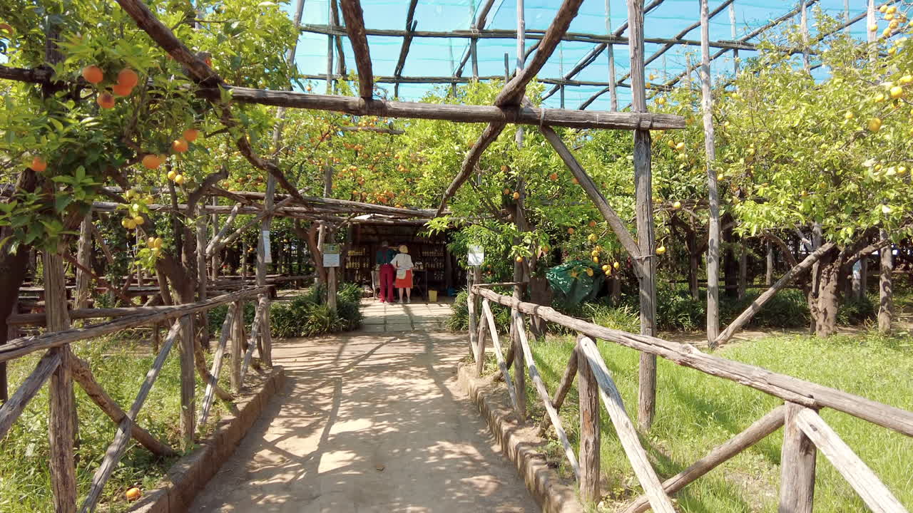 People shopping at the Sorrento lemon farm in Italy