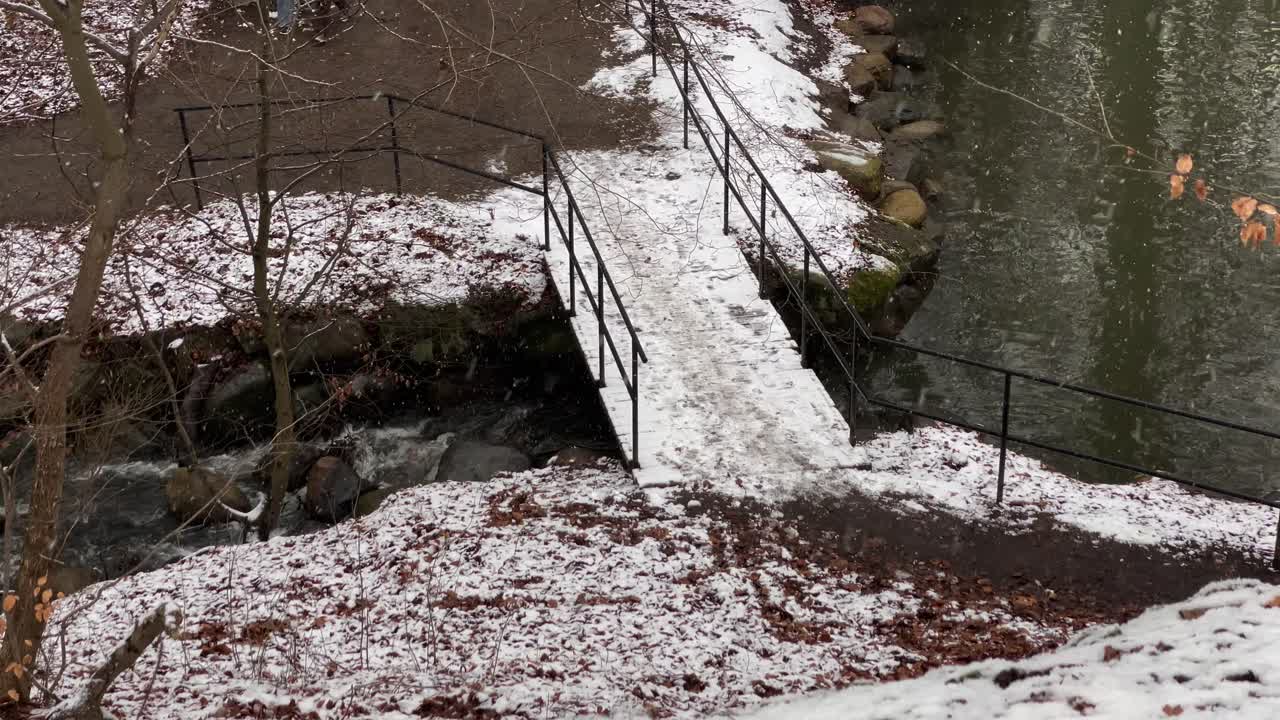 공원에서 다리에 외부 눈