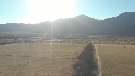 Pull-away-shot-of-a-desert-Landscape-with-dead-trees-lining-the-road,-revealing-large-mountains-with-a-bright-sun-beaming-through-them