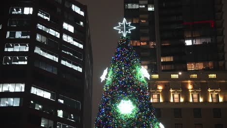 close up parallax of vancouver city very large and tall christmas tree lit up and glowing focused on the star on top surrounded by the tall lit up buildings on a winter night in the dark