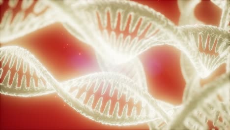 structure of the dna double helix animation