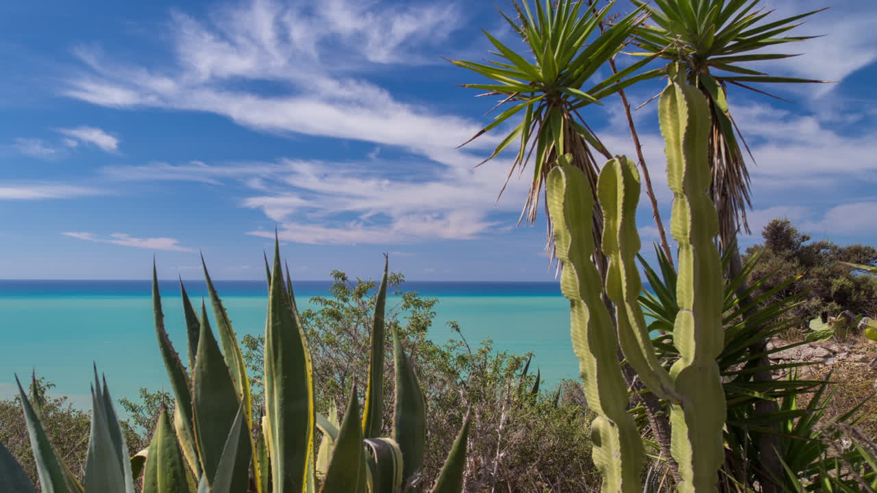 시칠리아 cactustl 4k 03