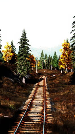 a train track running through an autumn forest